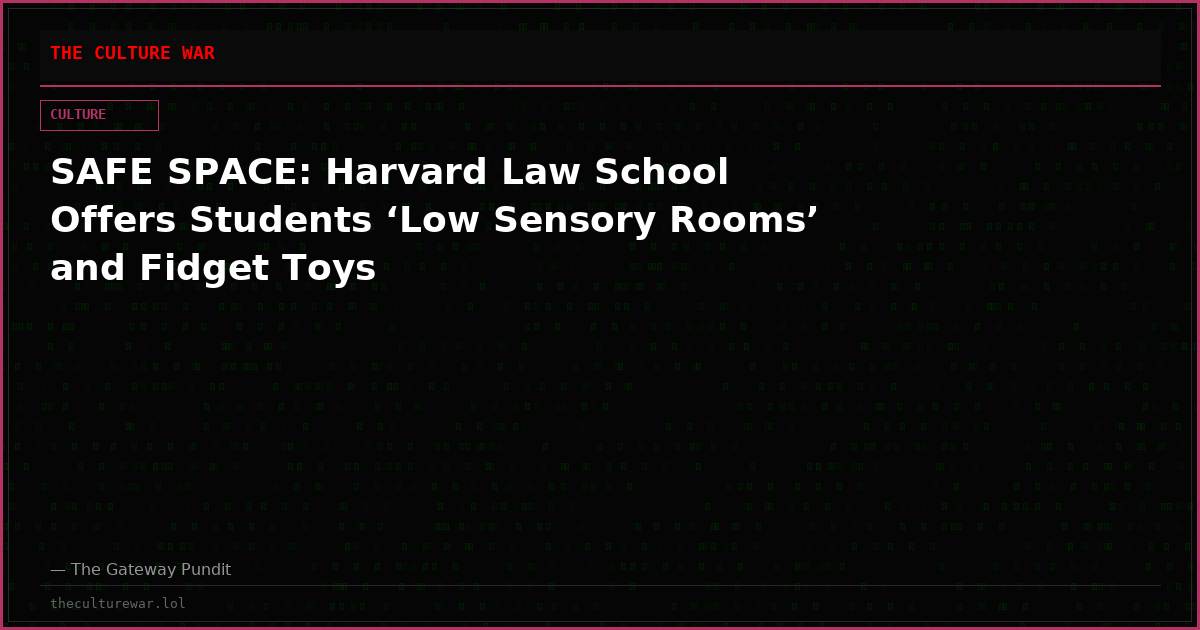 SAFE SPACE: Harvard Law School Offers Students ‘Low Sensory Rooms’ and Fidget Toys