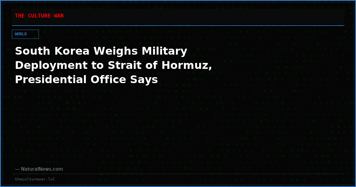 South Korea Weighs Military Deployment to Strait of Hormuz, Presidential Office Says