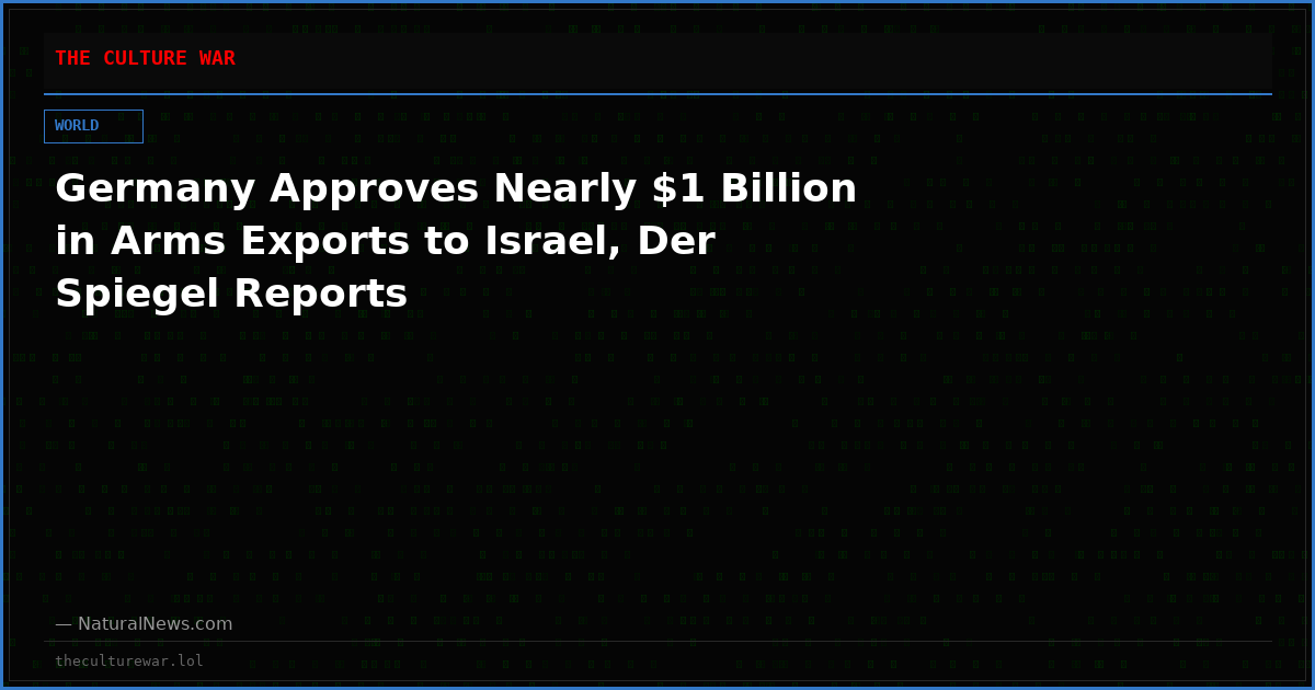 Germany Approves Nearly $1 Billion in Arms Exports to Israel, Der Spiegel Reports