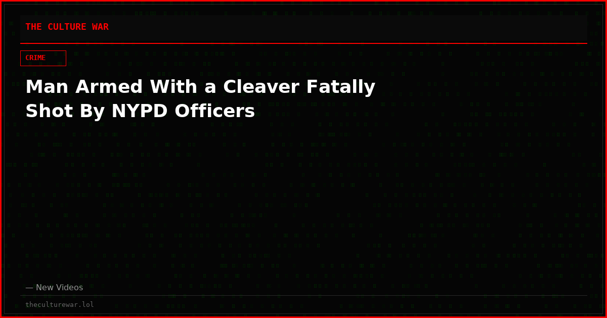 Man Armed With a Cleaver Fatally Shot By NYPD Officers