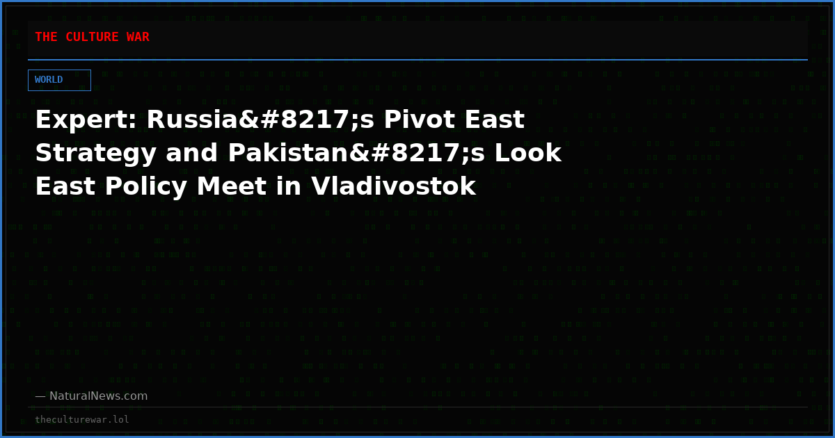 Expert: Russia’s Pivot East Strategy and Pakistan’s Look East Policy Meet in Vladivostok