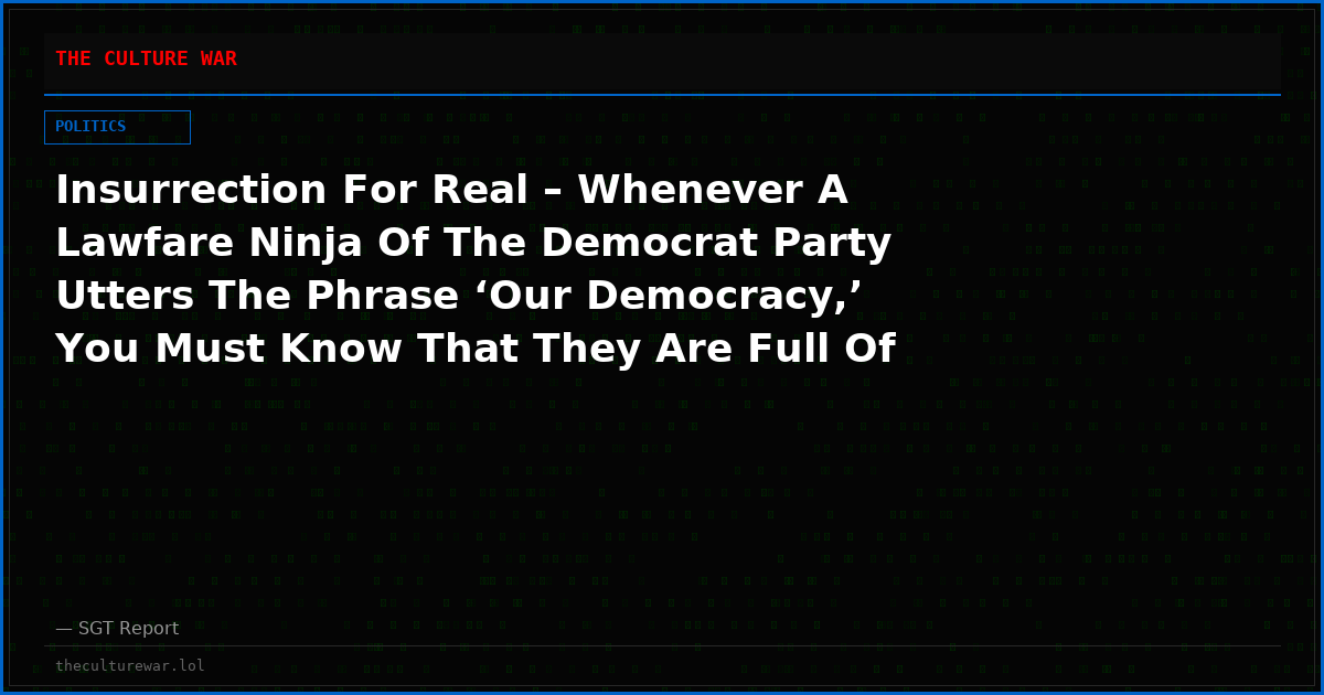Insurrection For Real – Whenever A Lawfare Ninja Of The Democrat Party Utters The Phrase ‘Our Democracy,’ You Must Know That They Are Full Of Shit