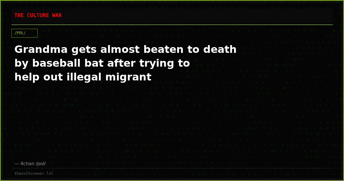 Grandma gets almost beaten to death by baseball bat after trying to help out illegal migrant