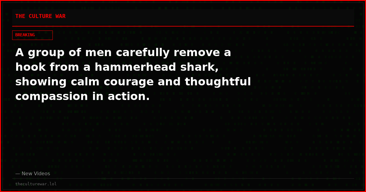 A group of men carefully remove a hook from a hammerhead shark, showing calm courage and thoughtful compassion in action.