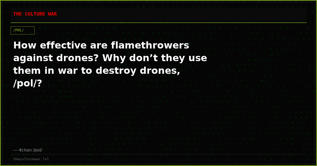How effective are flamethrowers against drones? Why don’t they use them in war to destroy drones, /pol/?