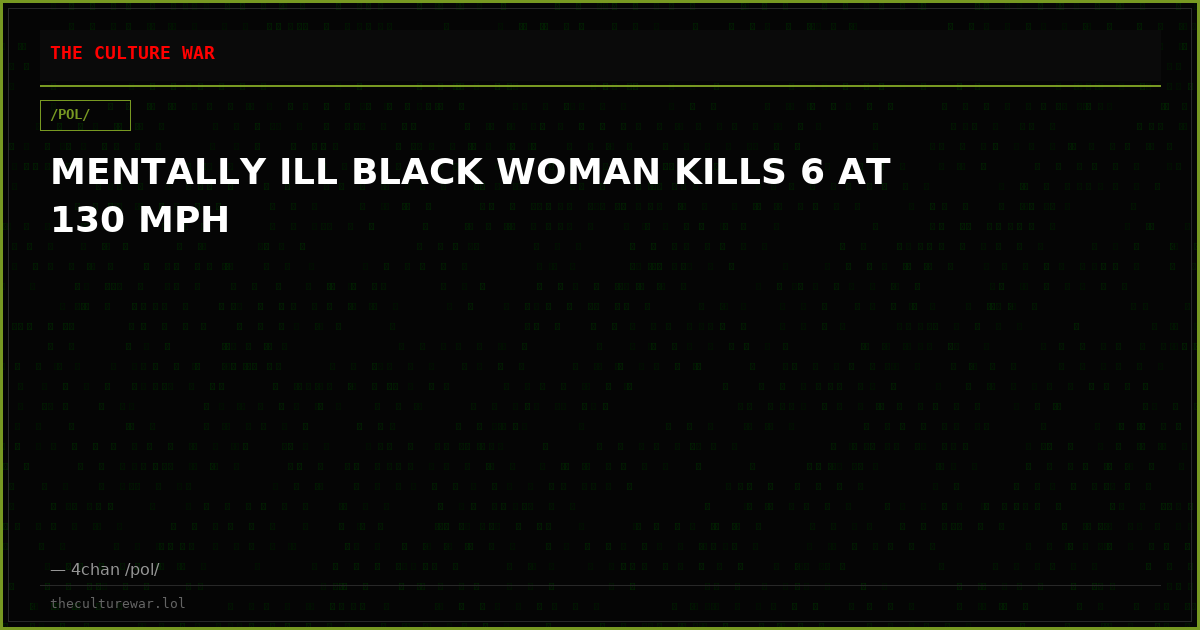 MENTALLY ILL BLACK WOMAN KILLS 6 AT 130 MPH