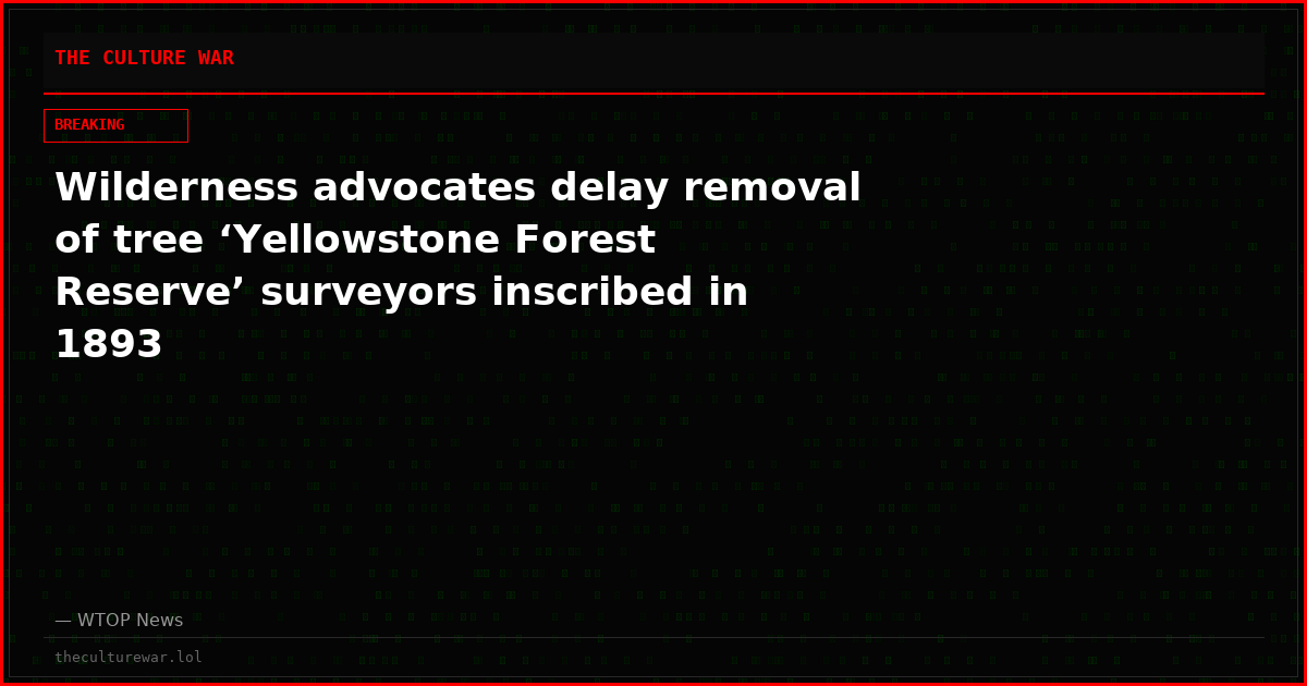 Wilderness advocates delay removal of tree ‘Yellowstone Forest Reserve’ surveyors inscribed in 1893