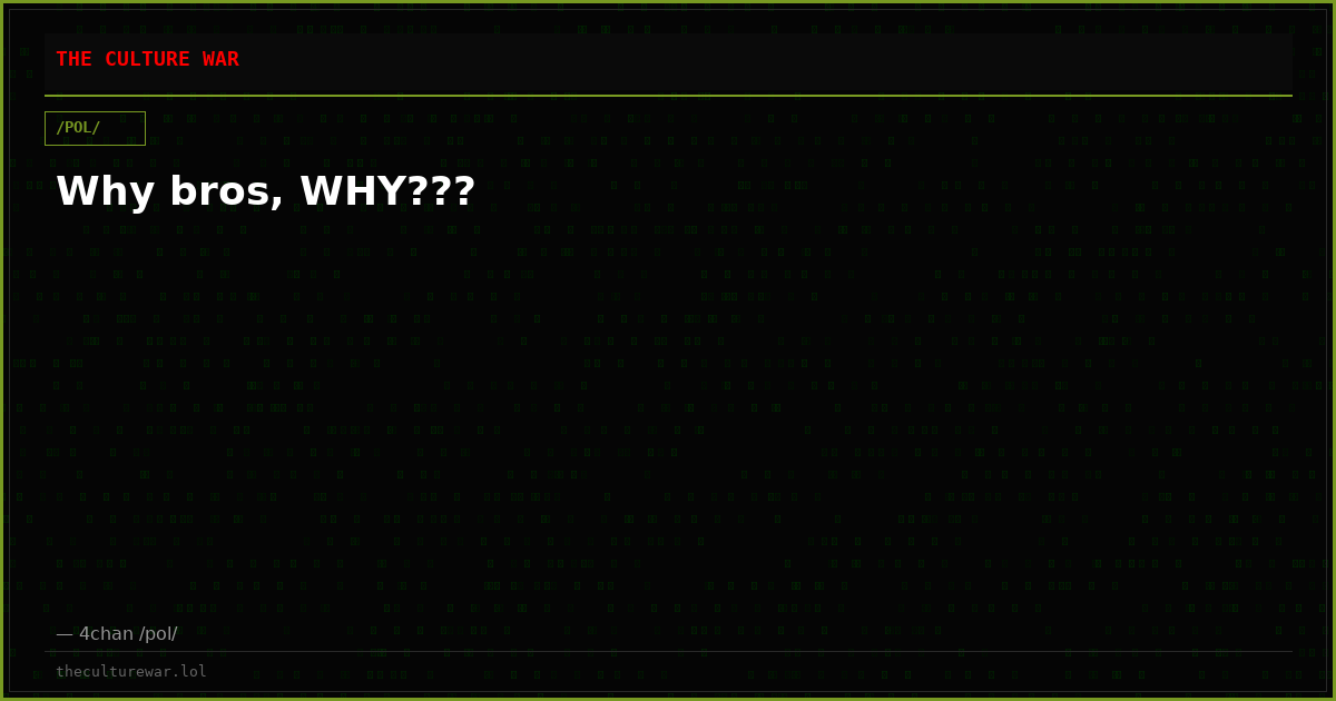 Why bros, WHY???