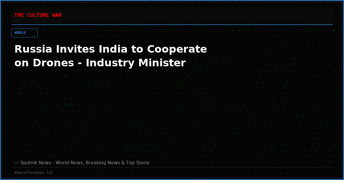 Russia Invites India to Cooperate on Drones - Industry Minister