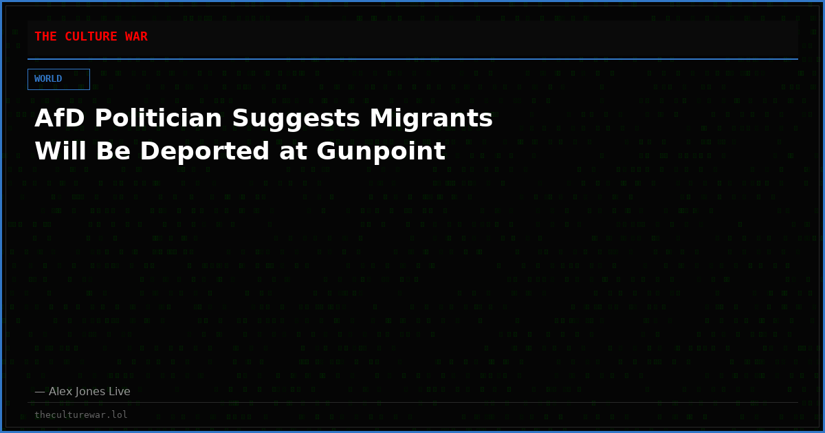 AfD Politician Suggests Migrants Will Be Deported at Gunpoint