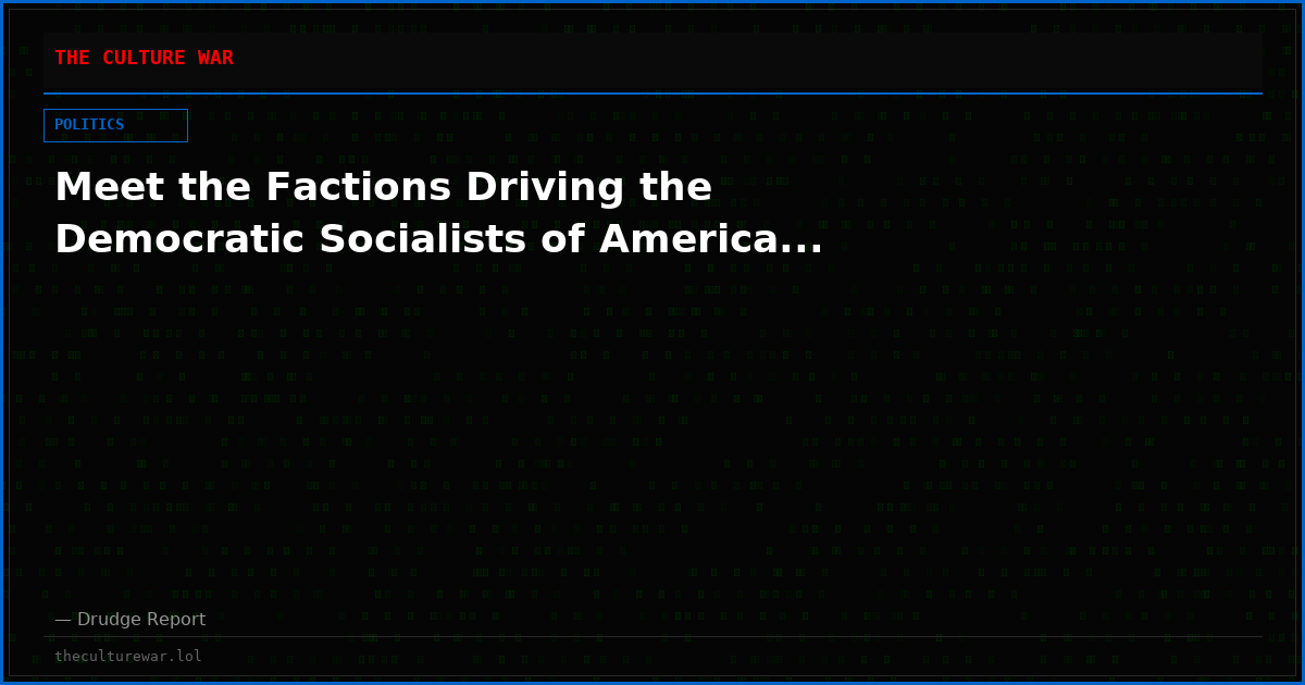 Meet the Factions Driving the Democratic Socialists of America...