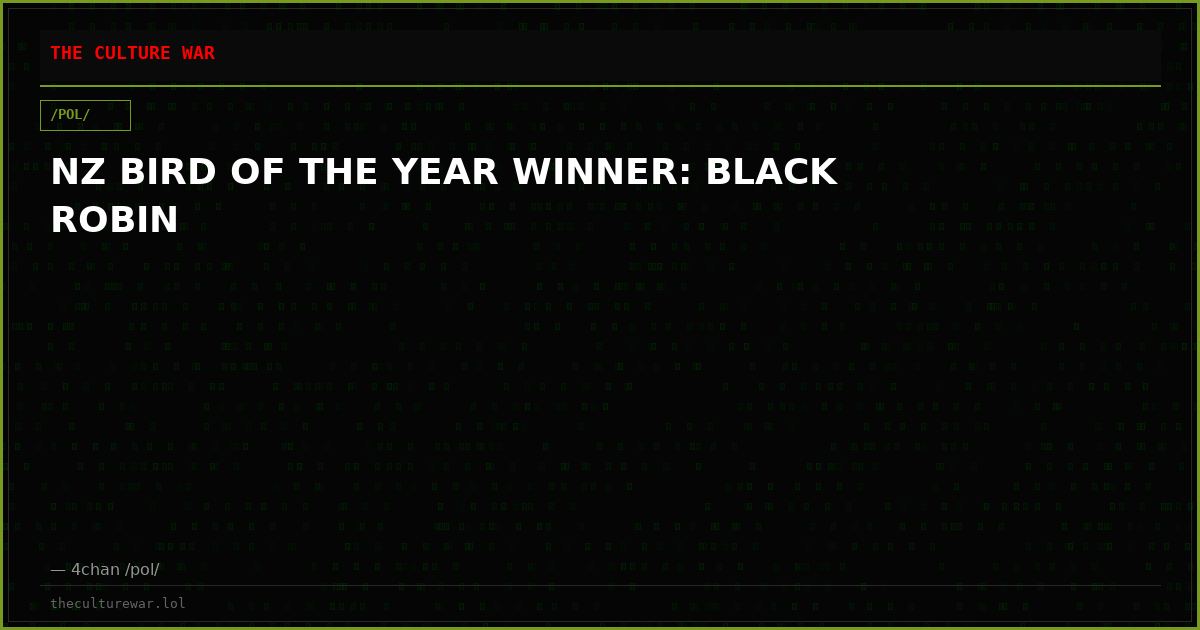 NZ BIRD OF THE YEAR WINNER: BLACK ROBIN