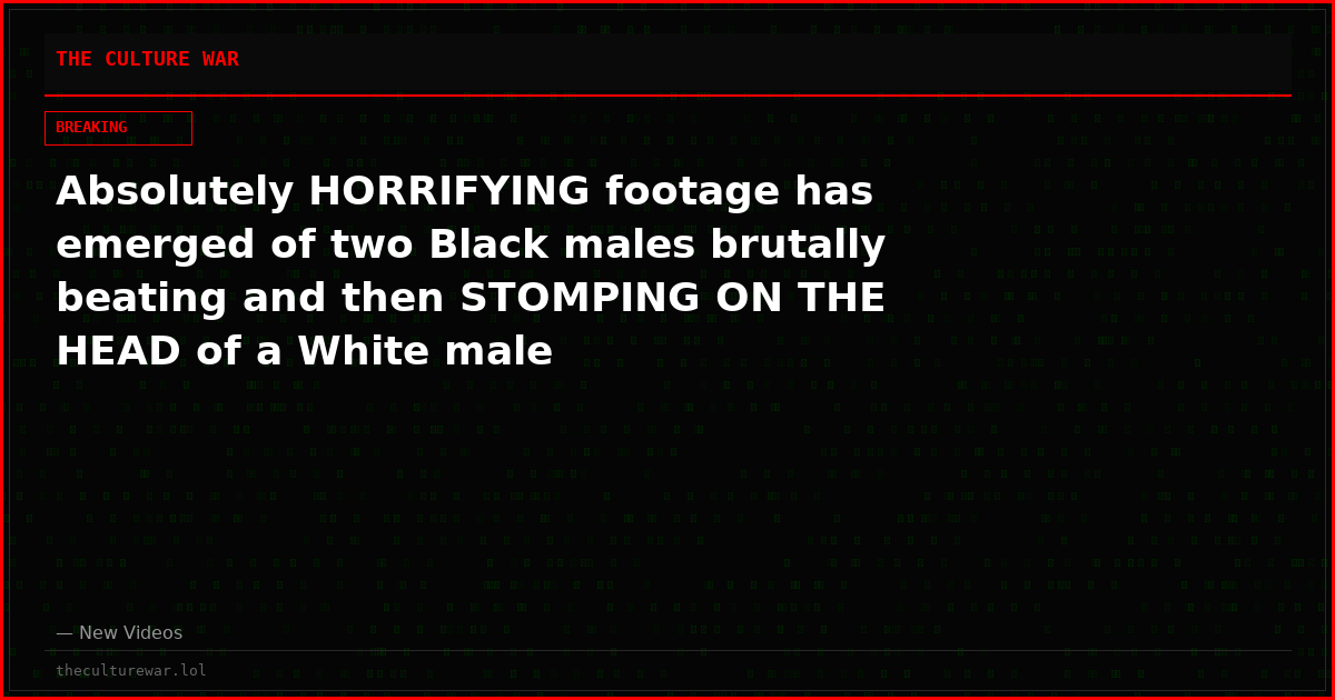 Absolutely HORRIFYING footage has emerged of two Black males brutally beating and then STOMPING ON THE HEAD of a White male