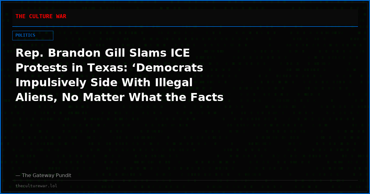 Rep. Brandon Gill Slams ICE Protests in Texas: ‘Democrats Impulsively Side With Illegal Aliens, No Matter What the Facts Are’ (VIDEO)
