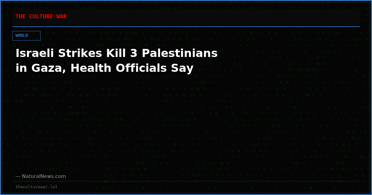 Israeli Strikes Kill 3 Palestinians in Gaza, Health Officials Say