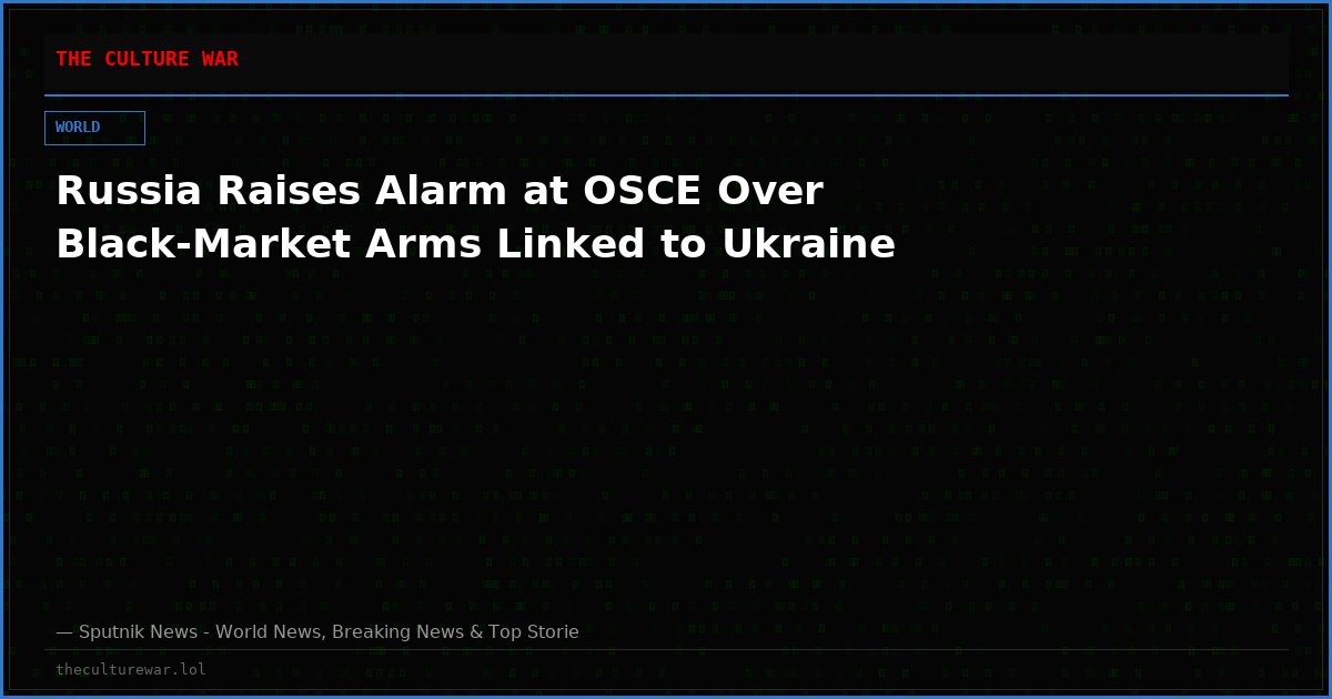 Russia Raises Alarm at OSCE Over Black-Market Arms Linked to Ukraine