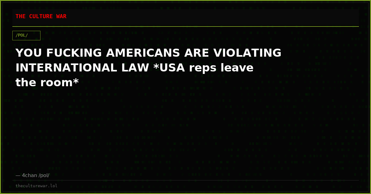 YOU FUCKING AMERICANS ARE VIOLATING INTERNATIONAL LAW *USA reps leave the room*