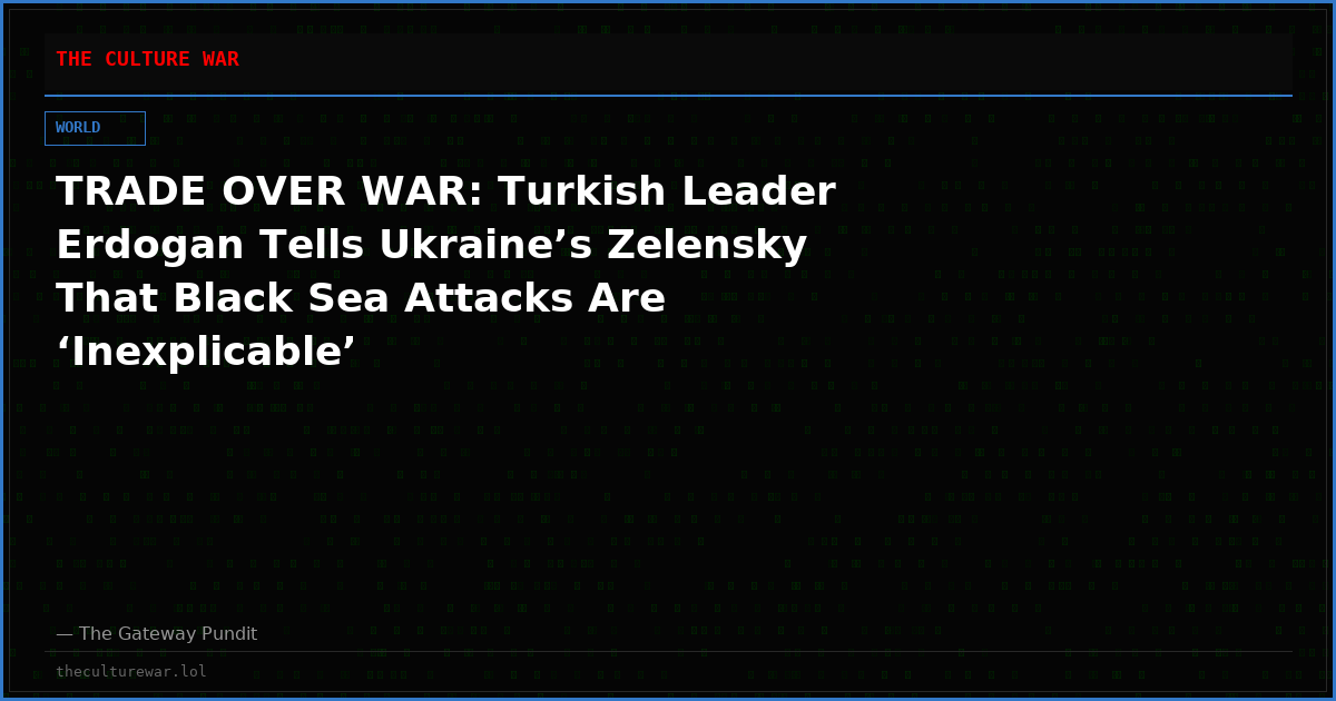 TRADE OVER WAR: Turkish Leader Erdogan Tells Ukraine’s Zelensky That Black Sea Attacks Are ‘Inexplicable’