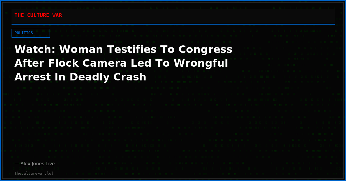 Watch: Woman Testifies To Congress After Flock Camera Led To Wrongful Arrest In Deadly Crash