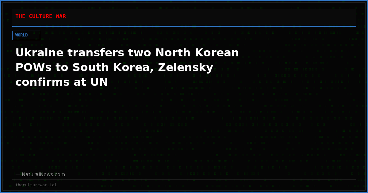 Ukraine transfers two North Korean POWs to South Korea, Zelensky confirms at UN
