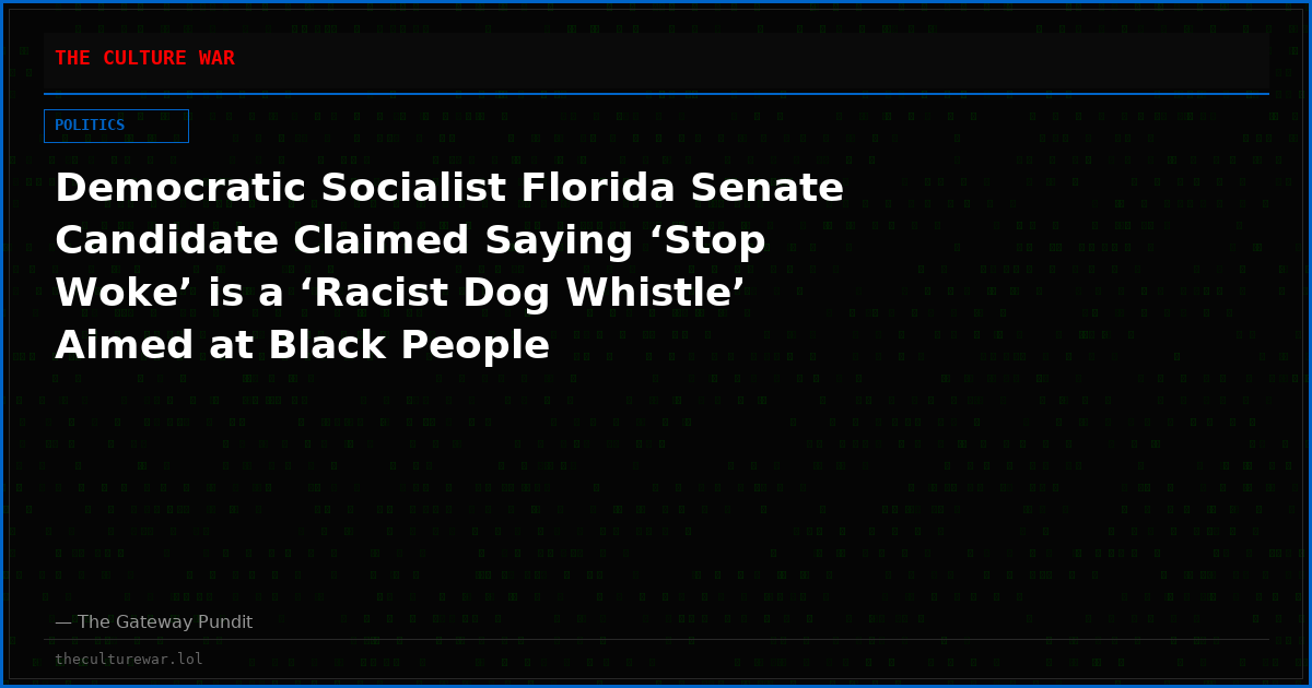 Democratic Socialist Florida Senate Candidate Claimed Saying ‘Stop Woke’ is a ‘Racist Dog Whistle’ Aimed at Black People