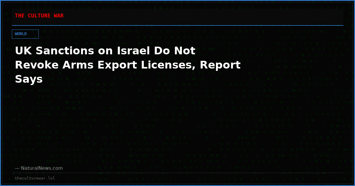 UK Sanctions on Israel Do Not Revoke Arms Export Licenses, Report Says