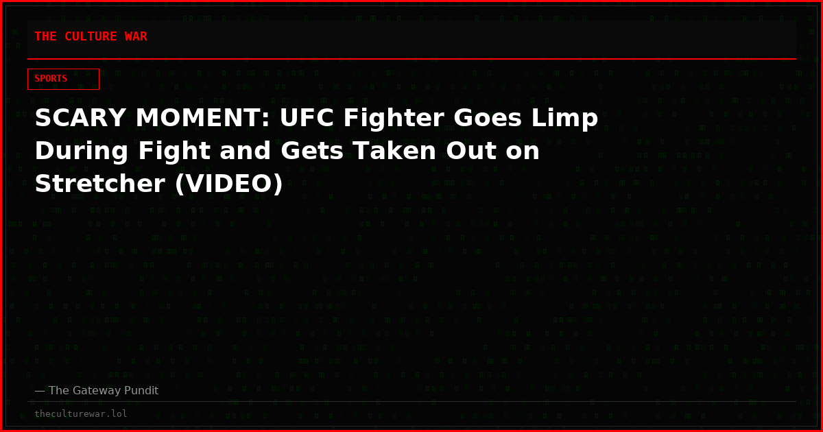 SCARY MOMENT: UFC Fighter Goes Limp During Fight and Gets Taken Out on Stretcher (VIDEO)