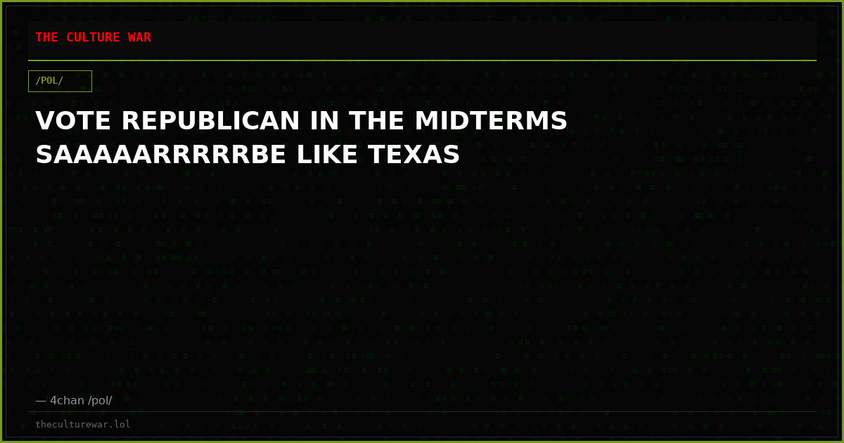 VOTE REPUBLICAN IN THE MIDTERMS SAAAAARRRRRBE LIKE TEXAS