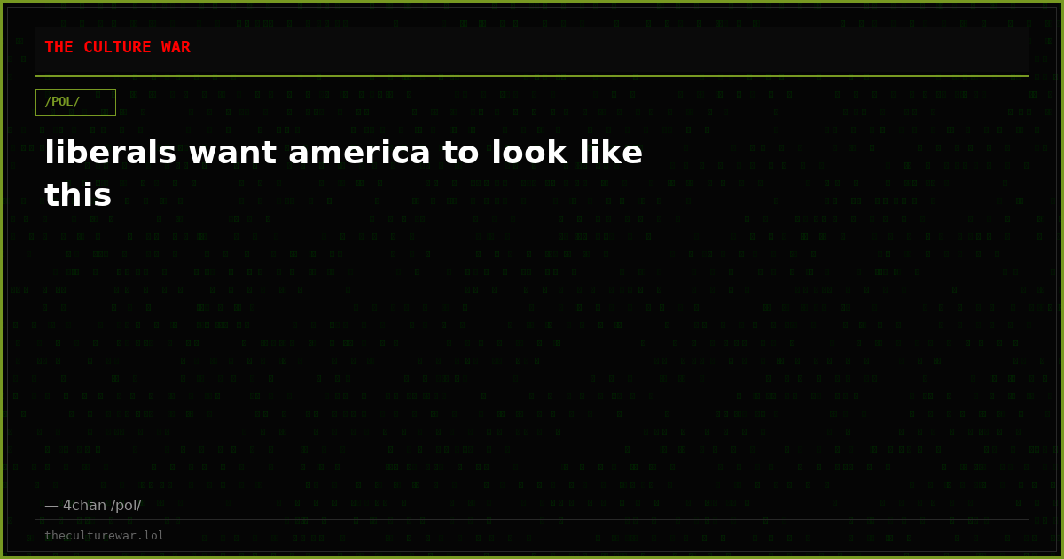 liberals want america to look like this