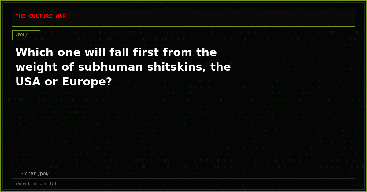 Which one will fall first from the weight of subhuman shitskins, the USA or Europe?