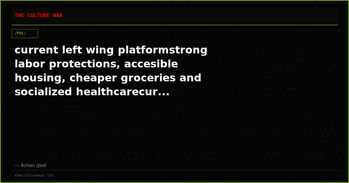 current left wing platformstrong labor protections, accesible housing, cheaper groceries and socialized healthcarecur...