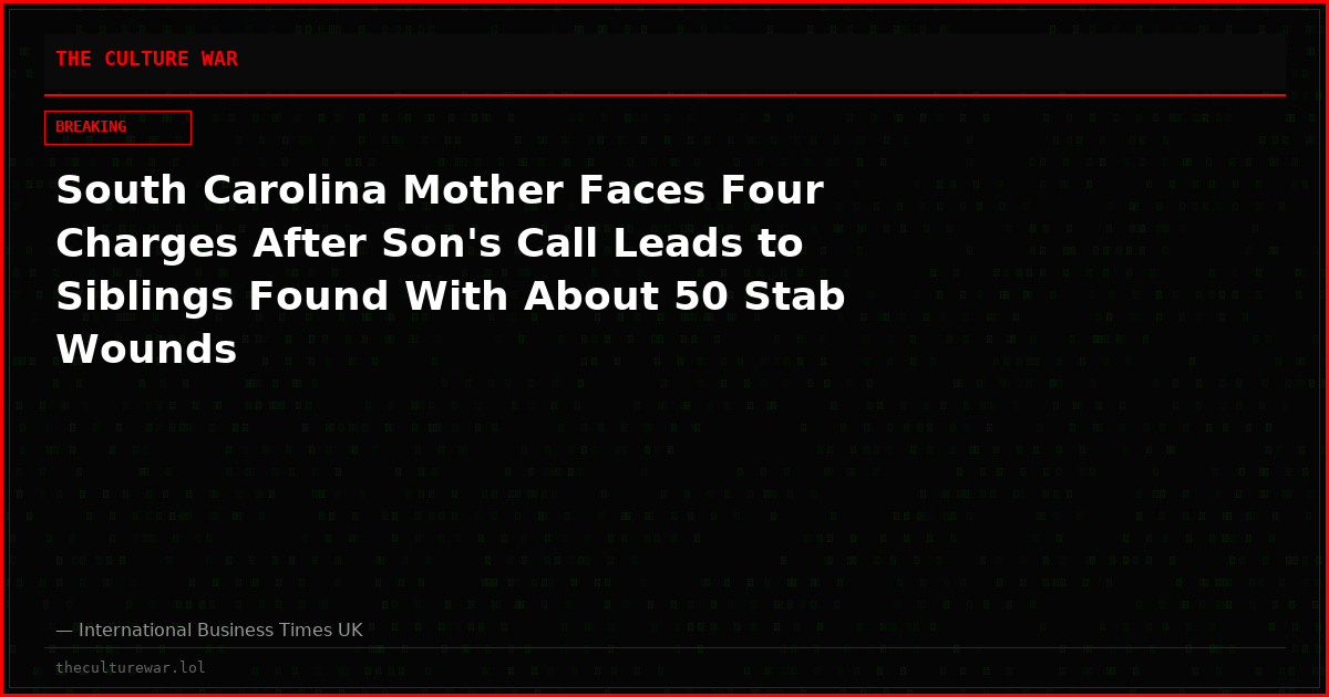 South Carolina Mother Faces Four Charges After Son's Call Leads to Siblings Found With About 50 Stab Wounds