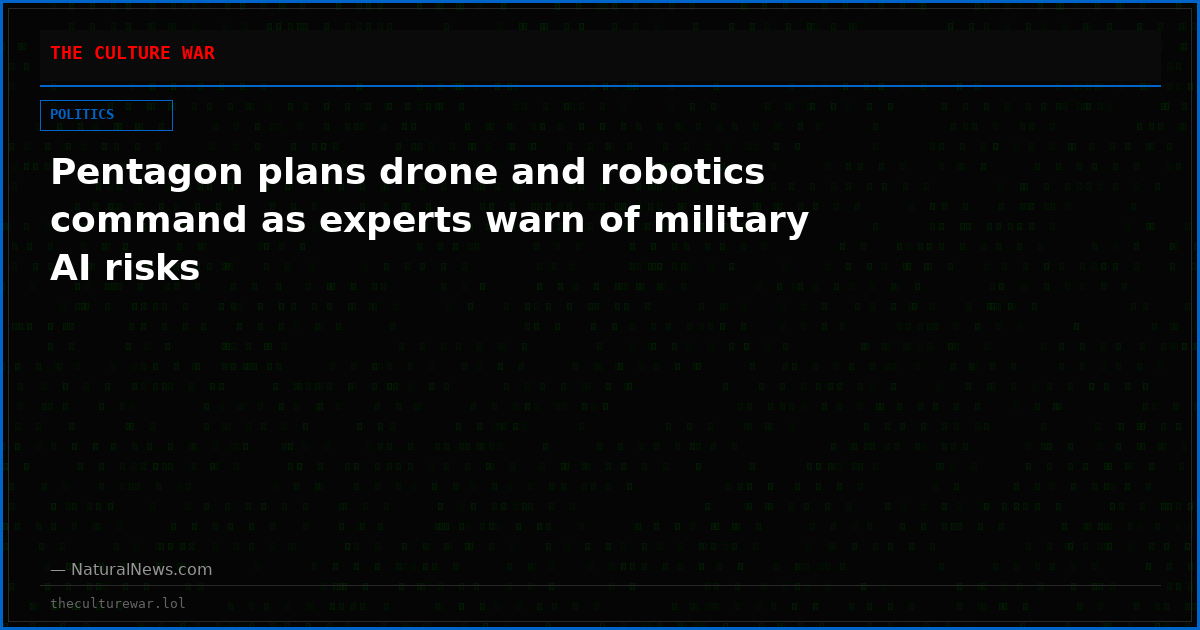 Pentagon plans drone and robotics command as experts warn of military AI risks