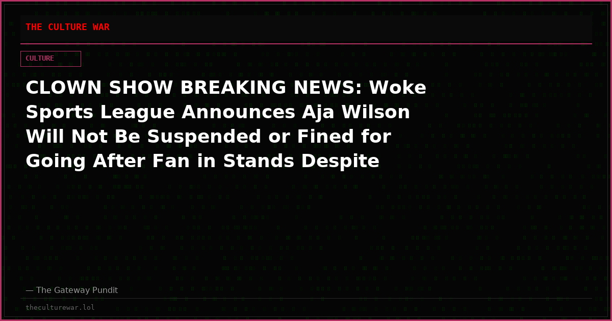 CLOWN SHOW BREAKING NEWS: Woke Sports League Announces Aja Wilson Will Not Be Suspended or Fined for Going After Fan in Stands Despite Clear League Rules That Call for Immediate Suspension