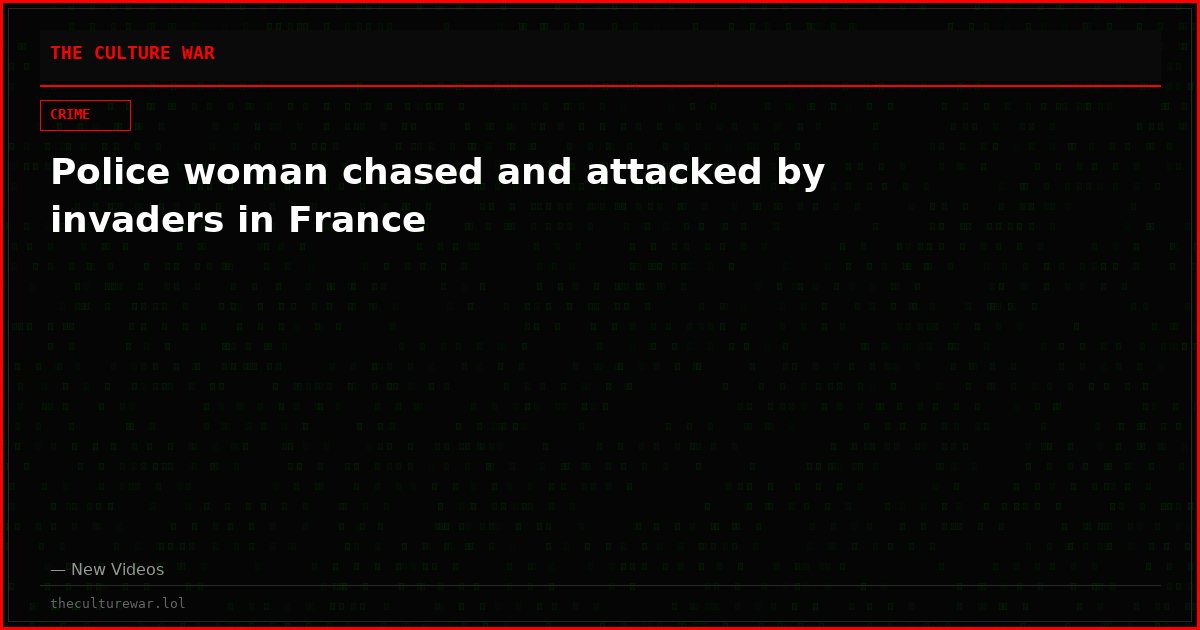 Police woman chased and attacked by invaders in France