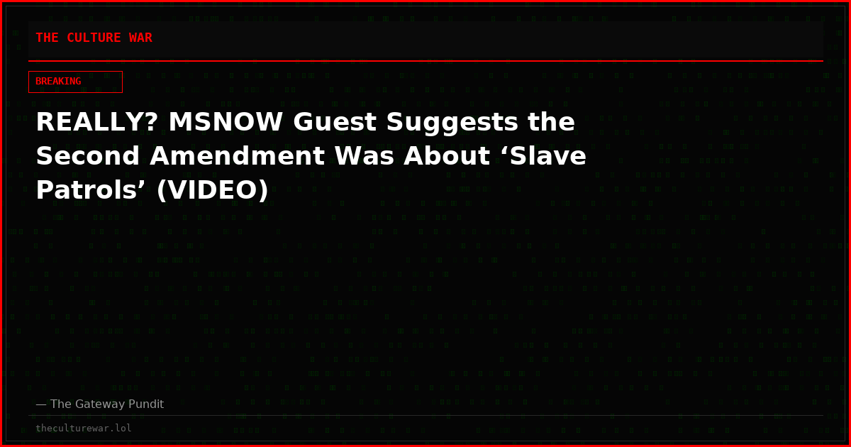 REALLY? MSNOW Guest Suggests the Second Amendment Was About ‘Slave Patrols’ (VIDEO)