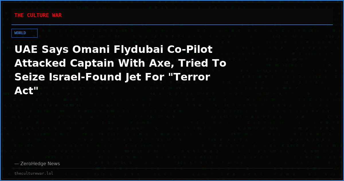 UAE Says Omani Flydubai Co-Pilot Attacked Captain With Axe, Tried To Seize Israel-Found Jet For "Terror Act"