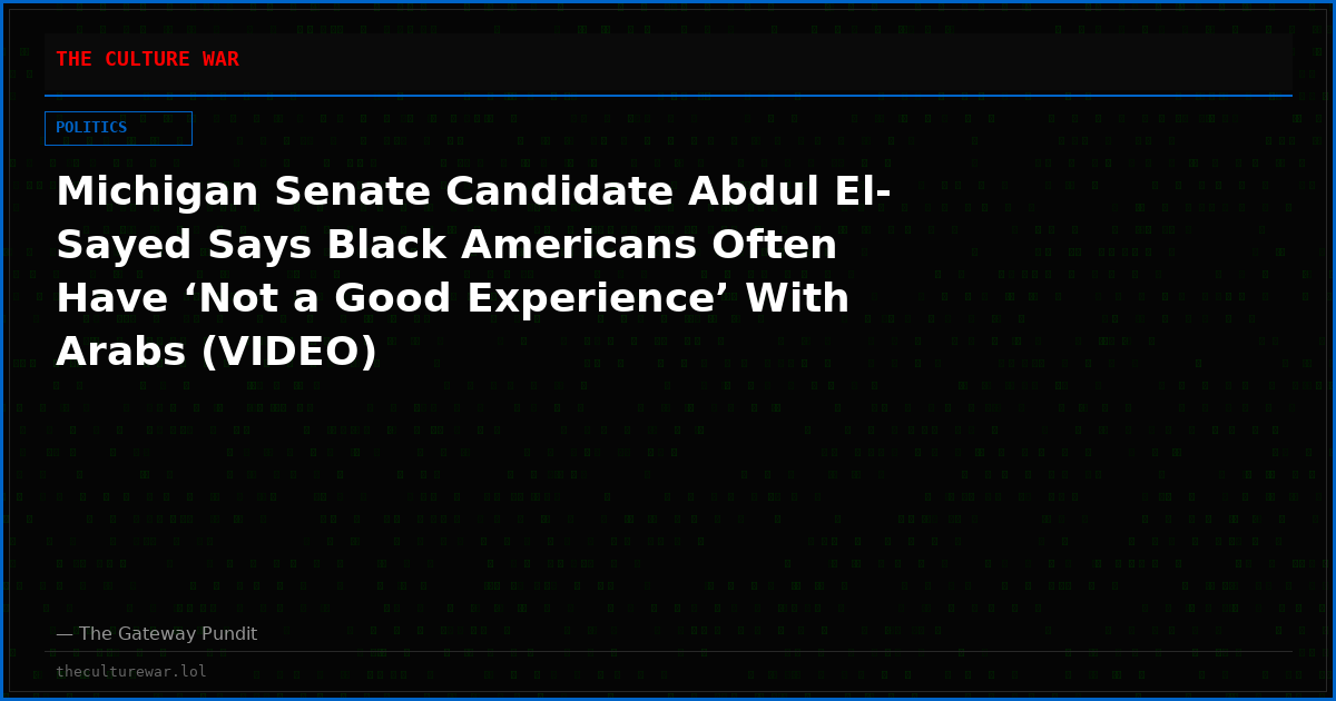 Michigan Senate Candidate Abdul El-Sayed Says Black Americans Often Have ‘Not a Good Experience’ With Arabs (VIDEO)