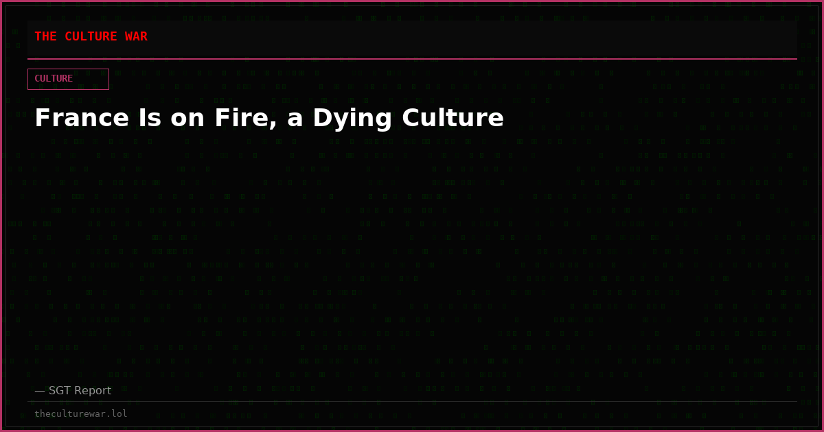 France Is on Fire, a Dying Culture