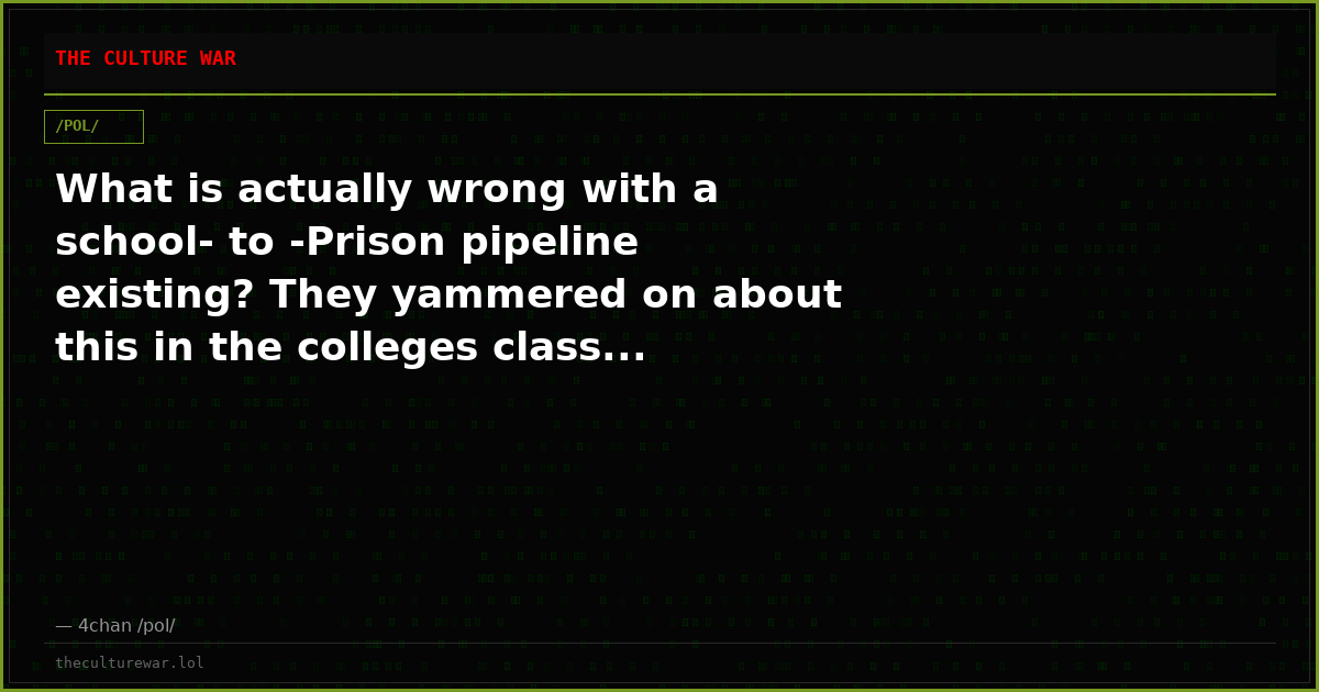 What is actually wrong with a school- to -Prison pipeline existing? They yammered on about this in the colleges class...