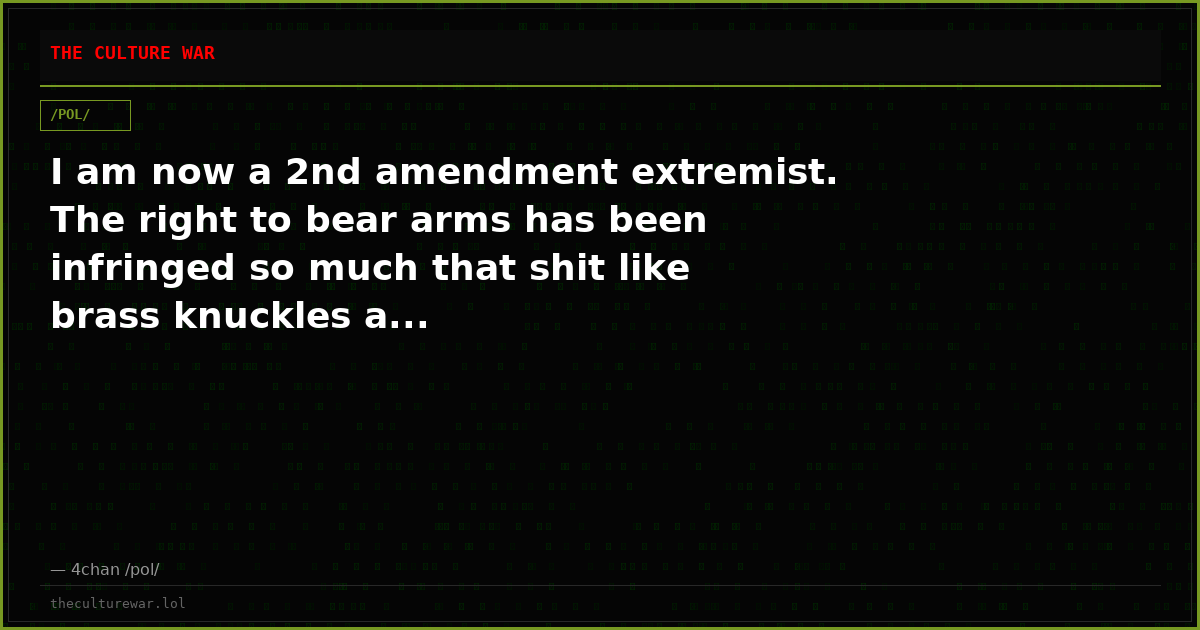 I am now a 2nd amendment extremist. The right to bear arms has been infringed so much that shit like brass knuckles a...