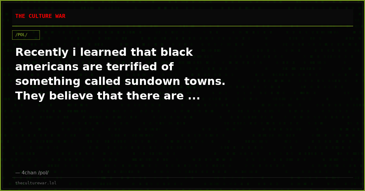 Recently i learned that black americans are terrified of something called sundown towns. They believe that there are ...