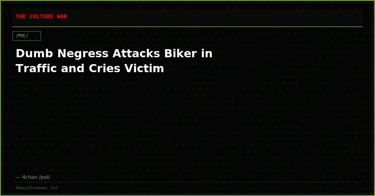 Dumb Negress Attacks Biker in Traffic and Cries Victim