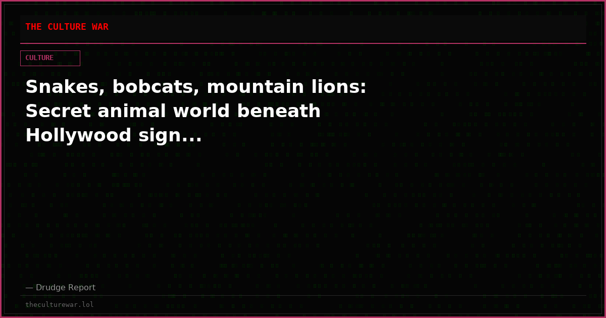 Snakes, bobcats, mountain lions: Secret animal world beneath Hollywood sign...