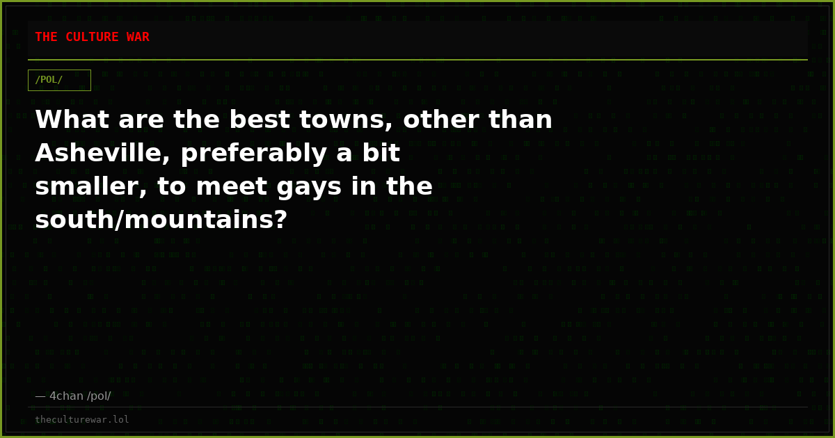 What are the best towns, other than Asheville, preferably a bit smaller, to meet gays in the south/mountains?