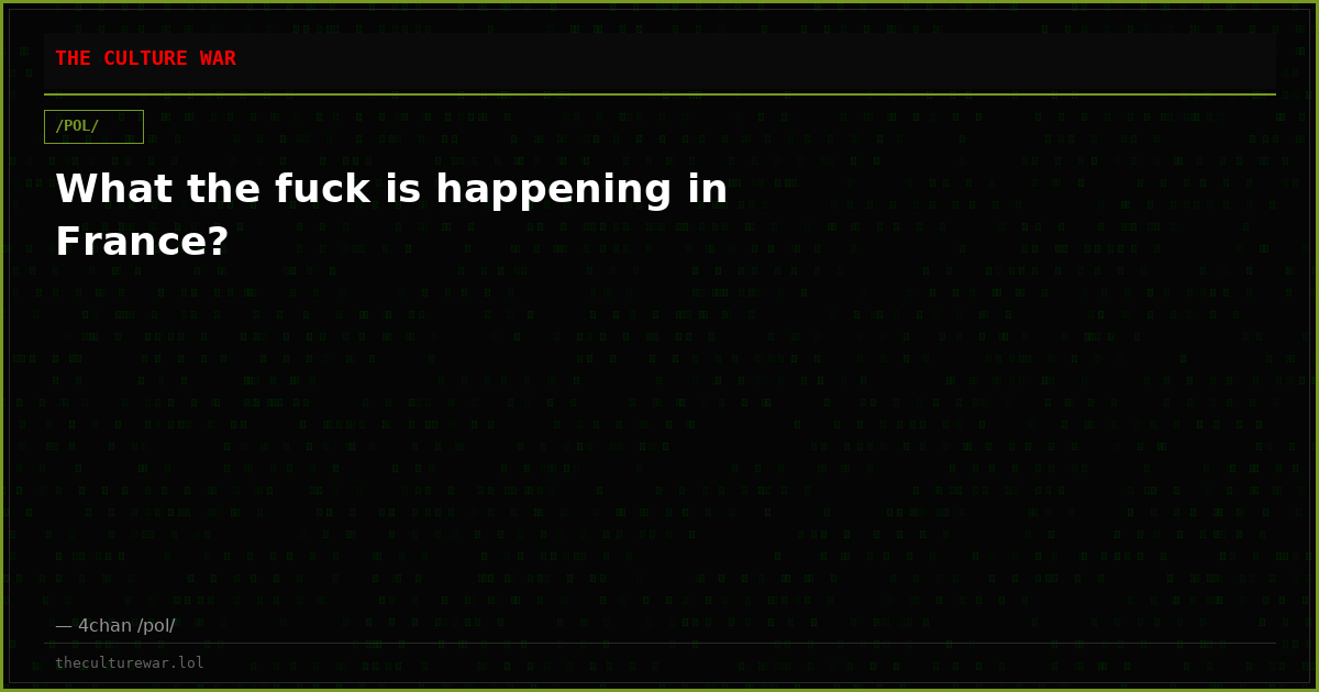 What the fuck is happening in France?