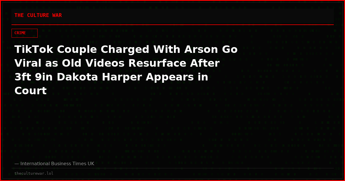 TikTok Couple Charged With Arson Go Viral as Old Videos Resurface After 3ft 9in Dakota Harper Appears in Court