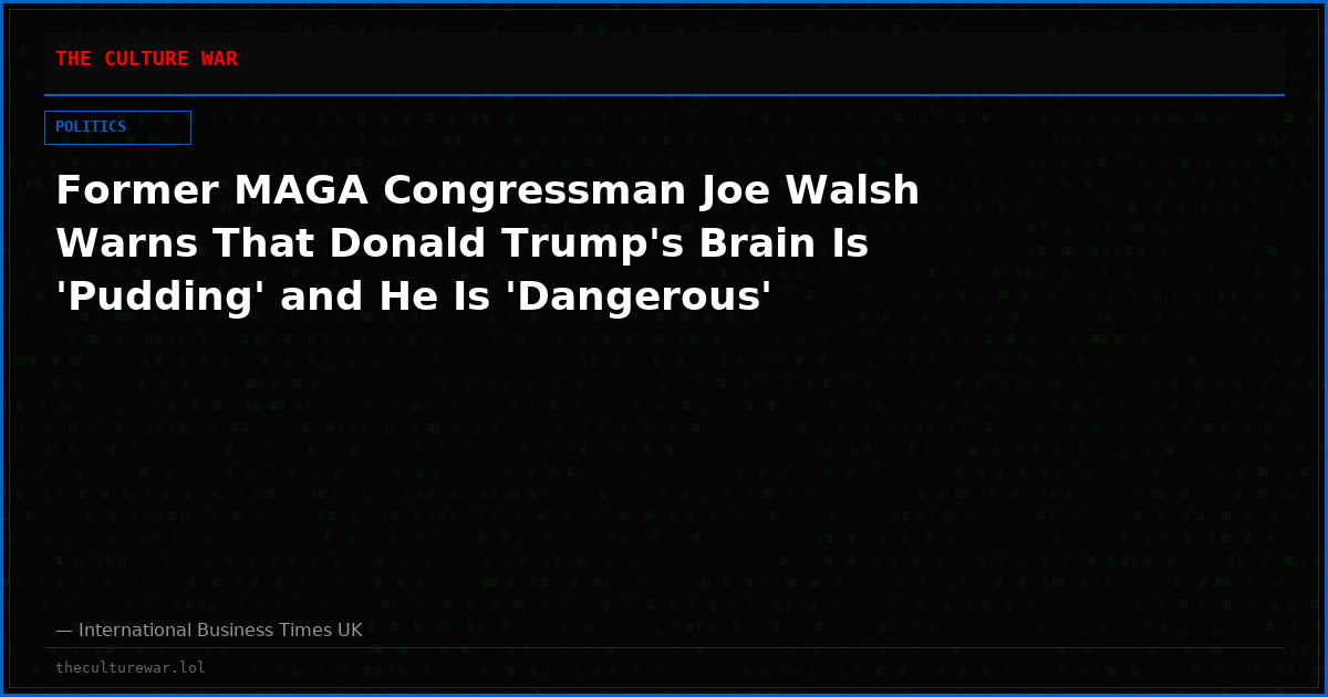 Former MAGA Congressman Joe Walsh Warns That Donald Trump's Brain Is 'Pudding' and He Is 'Dangerous'