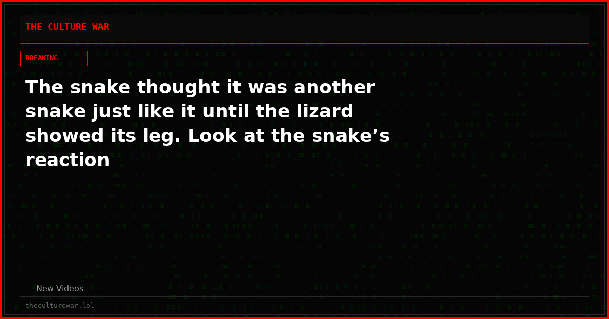 The snake thought it was another snake just like it until the lizard showed its leg. Look at the snake’s reaction