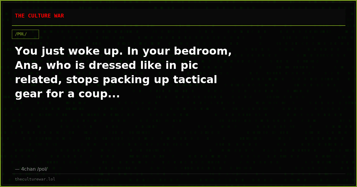 You just woke up. In your bedroom, Ana, who is dressed like in pic related, stops packing up tactical gear for a coup...